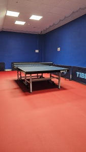 GRAMYWTENISA , GRAMYWTENISASTOLOWEGO, KMTS, gramy w tenisa stołowego Łódź, tenis stołowy Łódź, ping pong, sala do tenisa stołowego